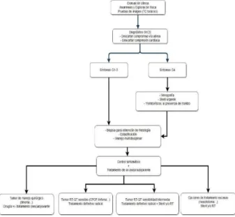 Figura 3. Algoritmo manejo de SVCS. 