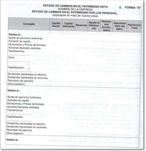 Figura 4: Estado de Cambios en el Patrimonio. 