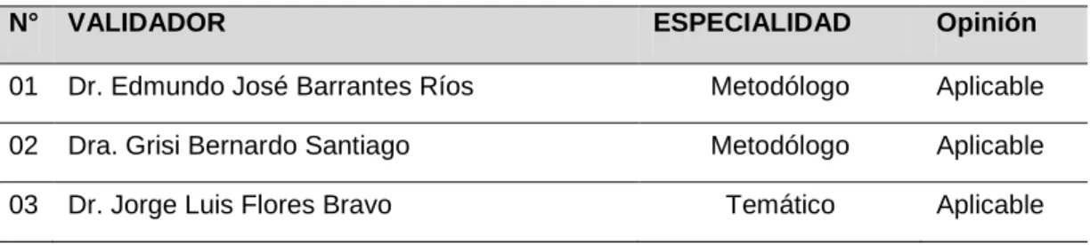Tabla 7. Validadores juicio de expertos 