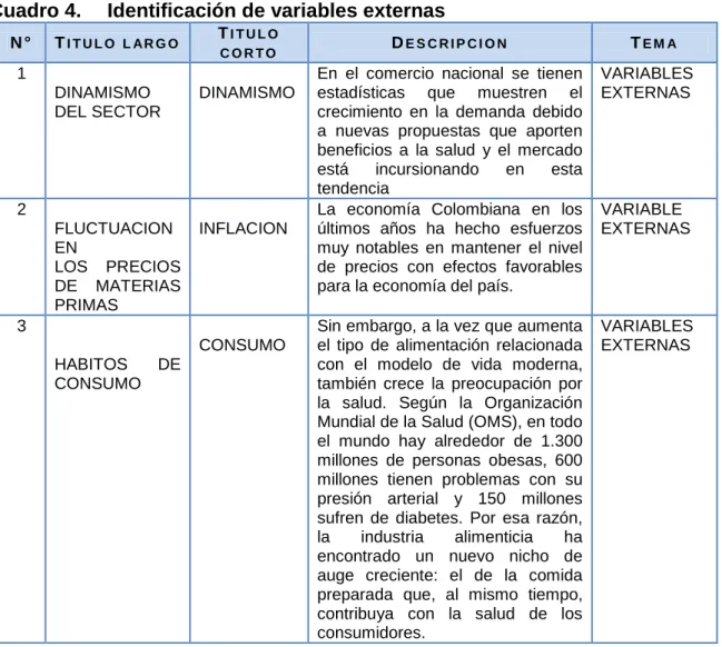 Cuadro 4.  Identificación de variables externas 
