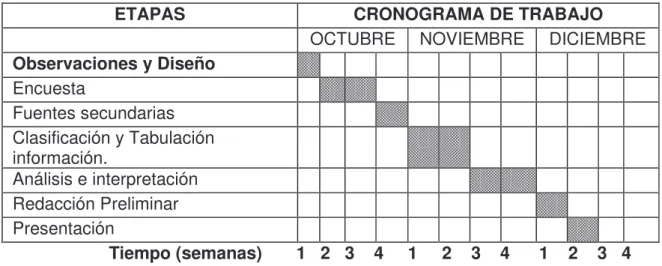 Cuadro 6. Cronograma 