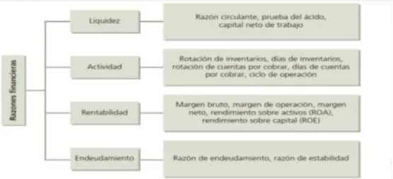 Figura 4. Razones financieros 