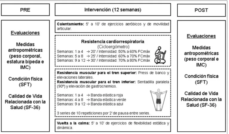 Figura 1. Programa de la intervención.