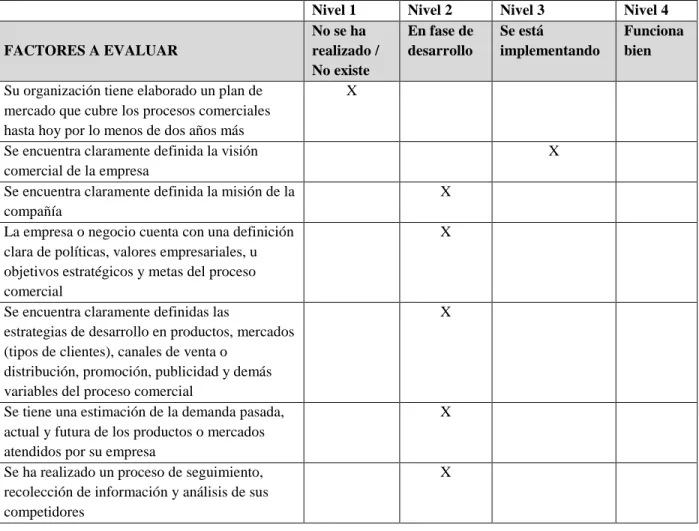 Tabla 7 Planeación estratégica de Mercado 