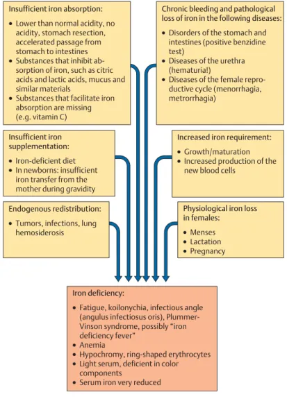 Fig. 44 The most important reasons for iron deficiency (according to Begemann)