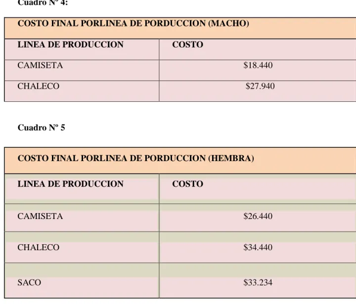 Cuadro Nº 4:  