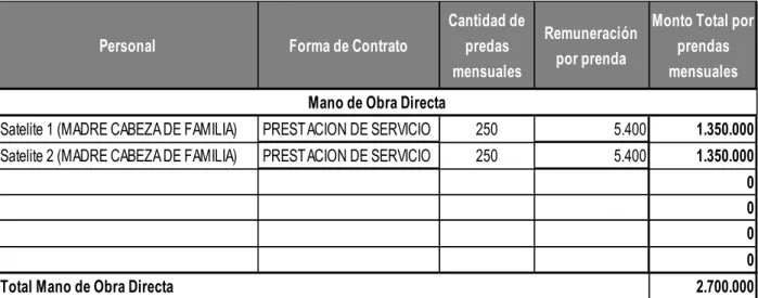 Cuadro Nº 11: Requerimiento de Personal Externo  