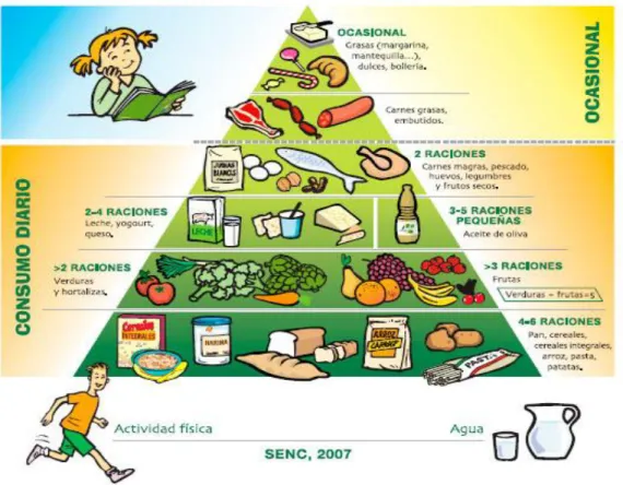 Figura 1. Pirámide de la Alimentación Saludable (SENC, 2007) 
