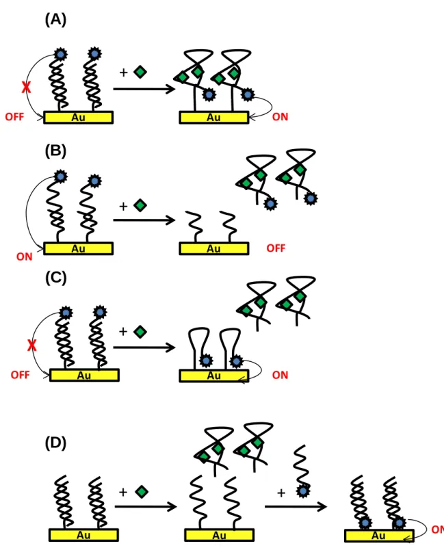 Figura 1.10. Aptasensor basado en un ensayo de desplazamiento para la determinación de  moléculas pequeñas (A) esquema “signal-on”; (B) esquema “signal-off”; (C) esquema “signal-on” 