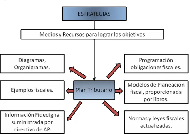 Figura 11. Plan Tributario 