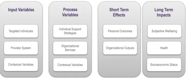 Figure 1. Program logic model in the field of IDD. 
