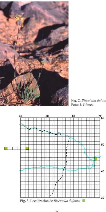 Fig. 3. Localización de Biscutella dufourii