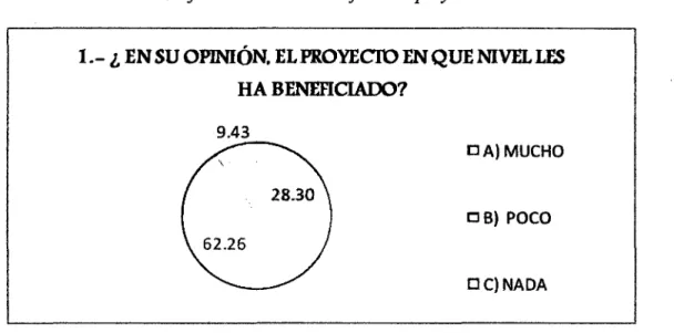 GRÁFICO No 19 