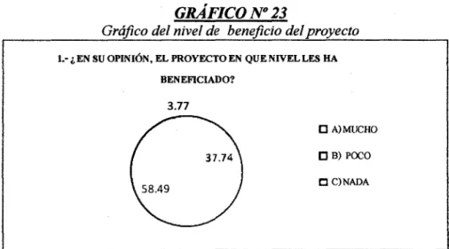 GRÁFICO No 23 