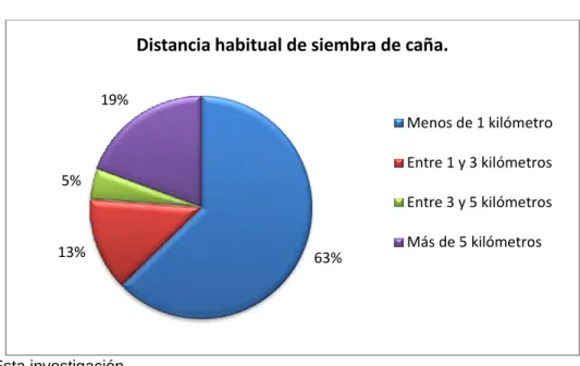 Gráfico 12. Distancia del predio a la factoría de molienda 