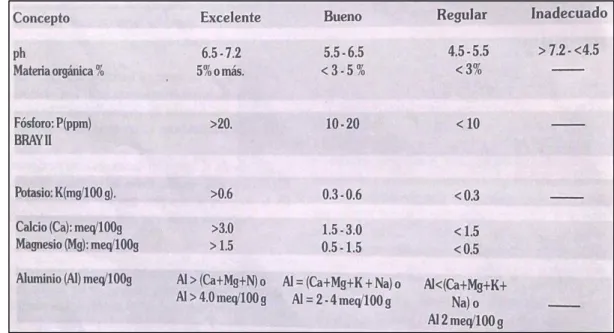 Cuadro  32.  Clasificación  de  los  suelos  en  caña  para  panela,  según  su  fertilidad determinada por los programas de suelos y de caña panelera