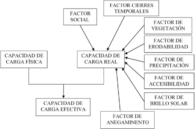 Fig. 2  Proceso de capacidad de carga 