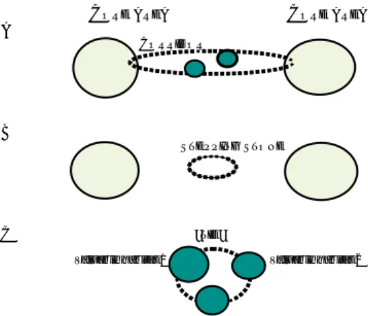 Figure 5. Different ecological links (area outlined by the broken line). Corridor (A), stepping stone (B) and ‘tie’ (C)