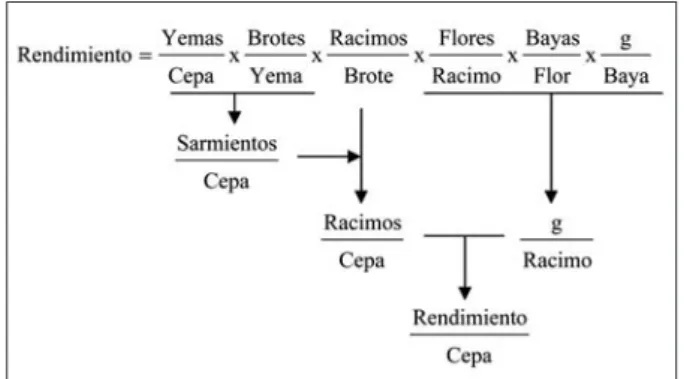 Figura 1: Componentes del rendimiento