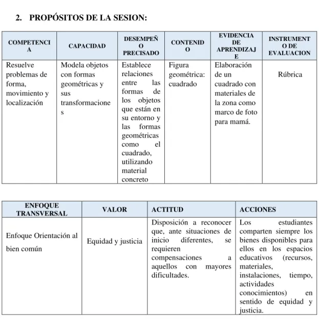 Figura  geométrica: 