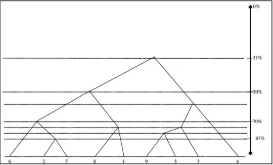 Figura 3.6: Ejemplo de dendrograma 12
