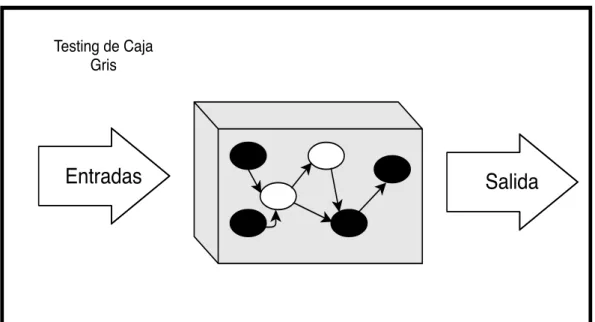 Figura 3.3: Diagrama sobre testing de Caja Gris
