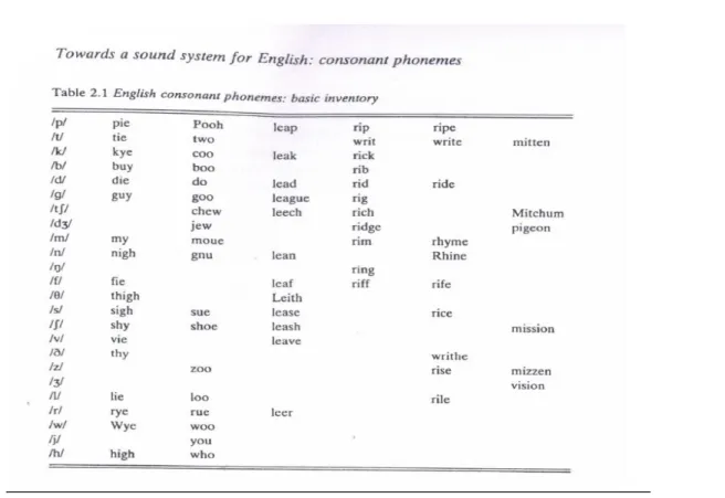 Figure 1. English consonant phonemes.  