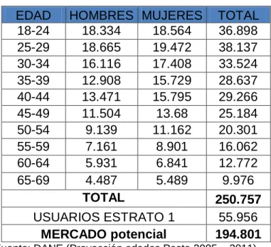 Tabla 15. Matriz de segmentación del mercado 