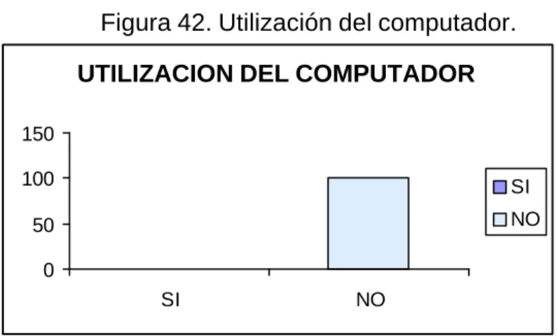 Figura 42. Utilización del computador. 