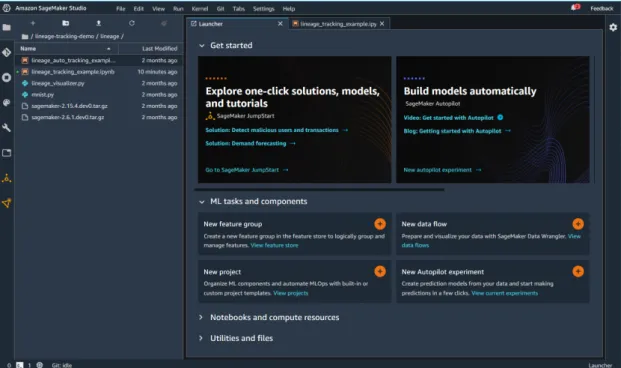 Figura 5.3: Interfaz de SageMaker Studio
