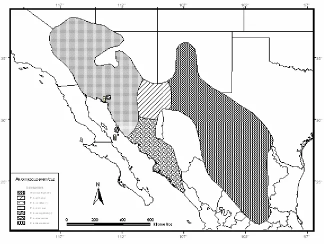 Figura 1.- Distribución de Peromyscus eremicus 