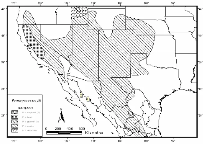 Figura 2.- Mapa de distribución de Peromyscus boylii 