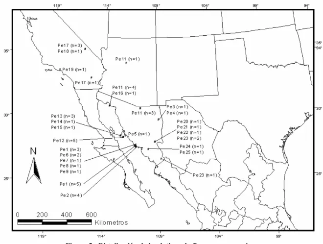 Figura 5.- Distribución de haplotipos de Peromyscus eremicus 