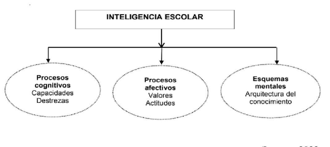 Figura 4: Esquema de inteligencia escolar. 