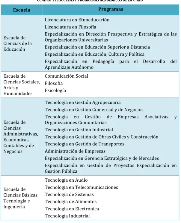 CUADRO 13.ESCUELAS Y PROGRAMAS ACADÉMICOS DE LA UNAD 