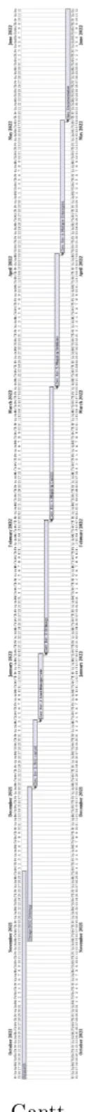 Figure 4: Gantt - Overview