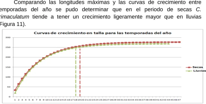 Figura 11. Comparación entre las curvas de crecimiento en longitud de la población de C