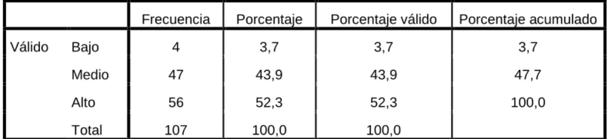 Figura 13. Habilidades de planificación 