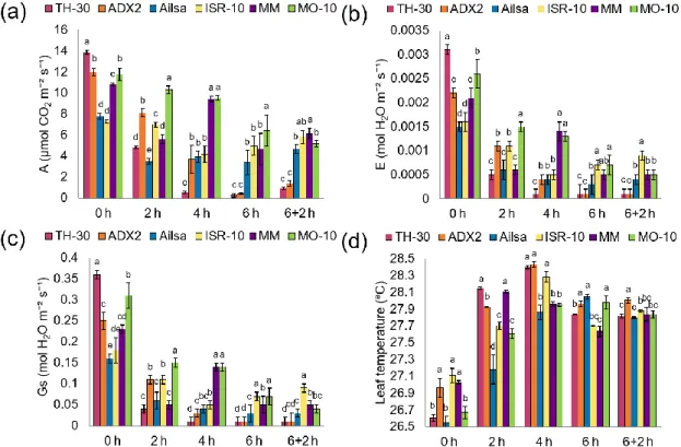 Figure 3. Photosynthetic parameters of the six tomato genotypes during the HS. The  stress was applied to four-weeks-old tomato plants by increasing the culture chamber  temperature to 42ºC during 6 h, and the recovery capacity was subsequently evaluated  