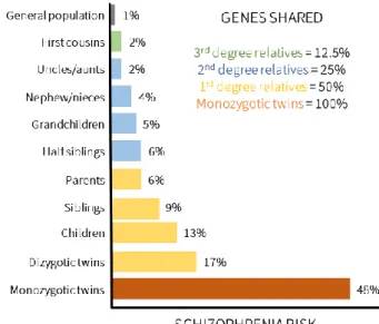 Figure 5. Schizophrenia risk among relatives. As the number of shared genes increases, the liability for  schizophrenia does so