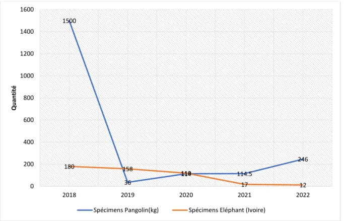 Figure 4.8 : Evolution des saisies des spécimens  de pangolin et d’éléphant (source base de données WWF  2018-2022)