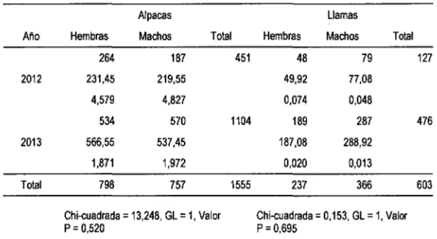 Tabla 8. Prueba Ji  cuadrado para determinar  Sarcocystis aucheniae en  alpacas  y  llamas, según sexo los años  2012-2013