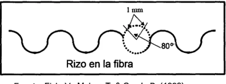 Figura 2.  Representación  bidimensional de la forma de una fibra. 