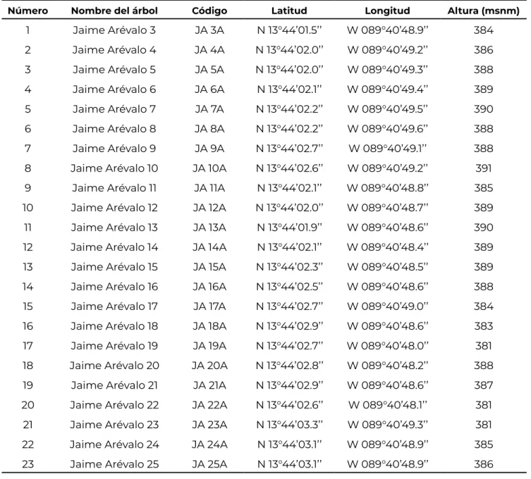 Cuadro 1. Codificación y ubicación de los árboles de cacao caracterizados.