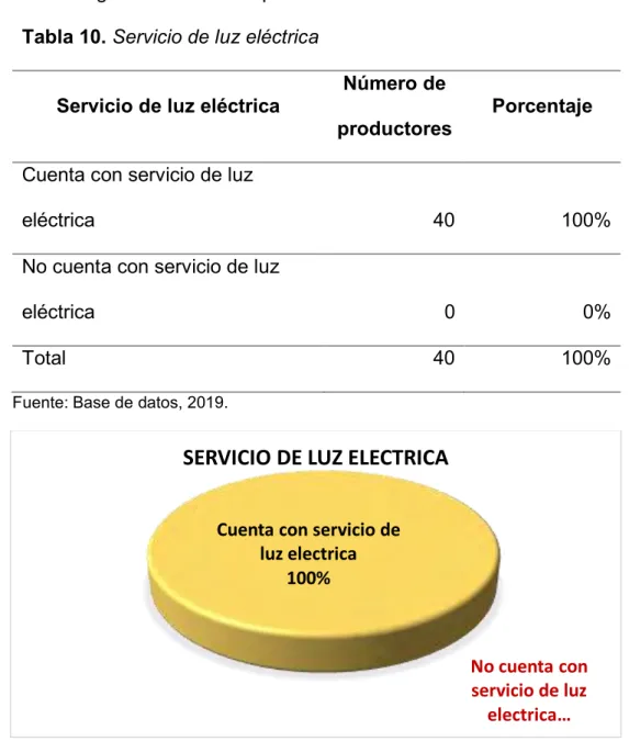 Tabla 10. Servicio de luz eléctrica 