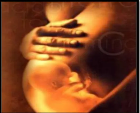 Figura 2 Control Prenatal 