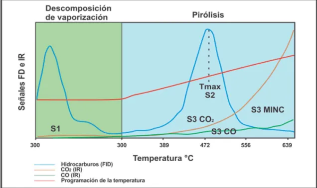 Figura 13. Proceso programado de pirólisis, modificado de Mc Carthy (2011), tomado de Roca (2017) 