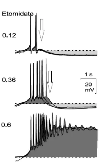 Figure 7. Progression of pacemaker potentials towards PDSs under ETO application. Drawing based on results from reference 33 .