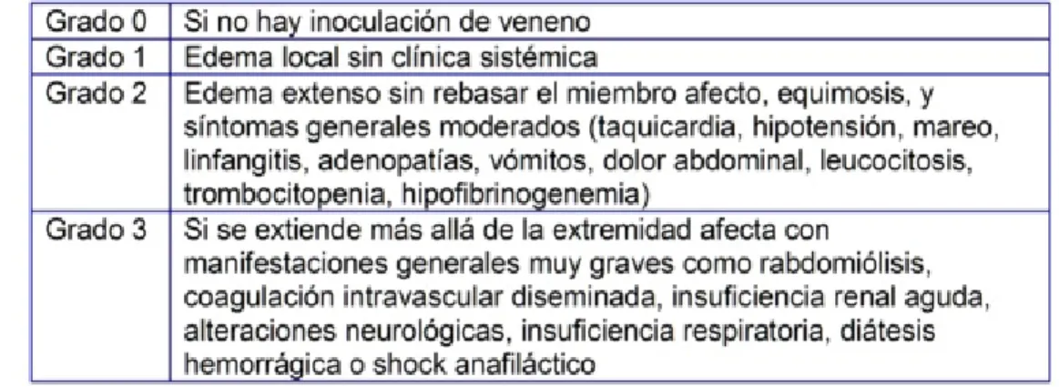 Tabla 1.- Clasificación de Audebert. 