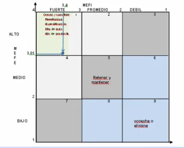 Figura 10.  Matriz  interna y externa - Aliños la Garza  